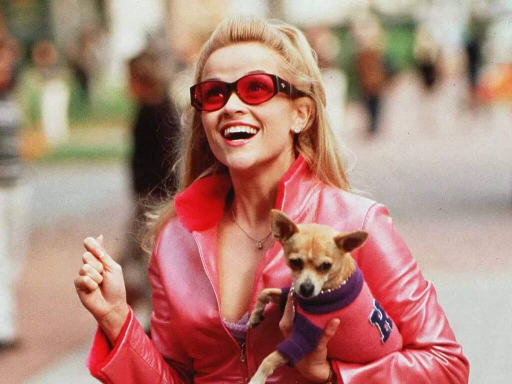 10 Movies Like Sweet Home Alabama That Will Make You Believe In Love Again Stagbite