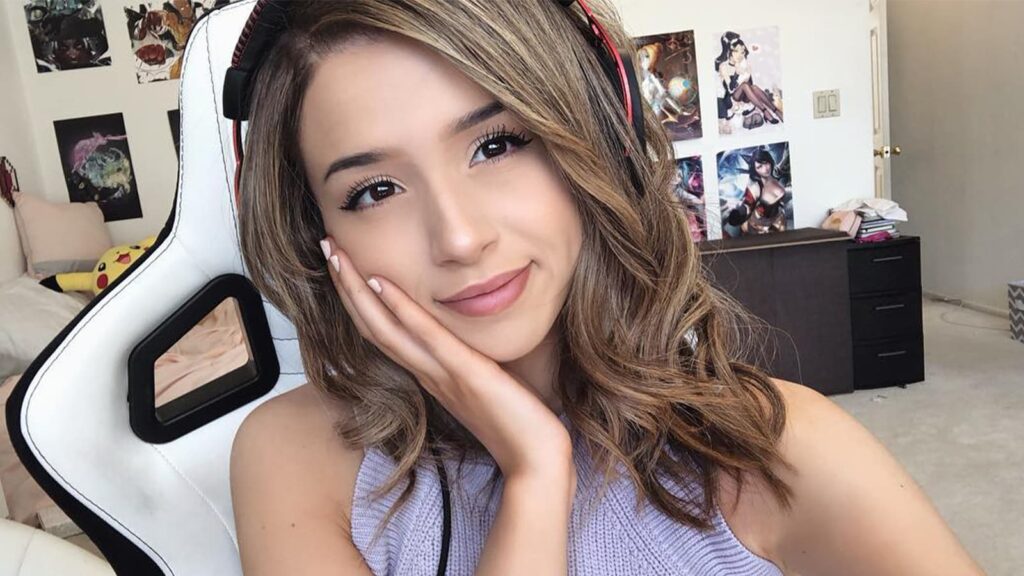 Pokimane's Charity and Donations