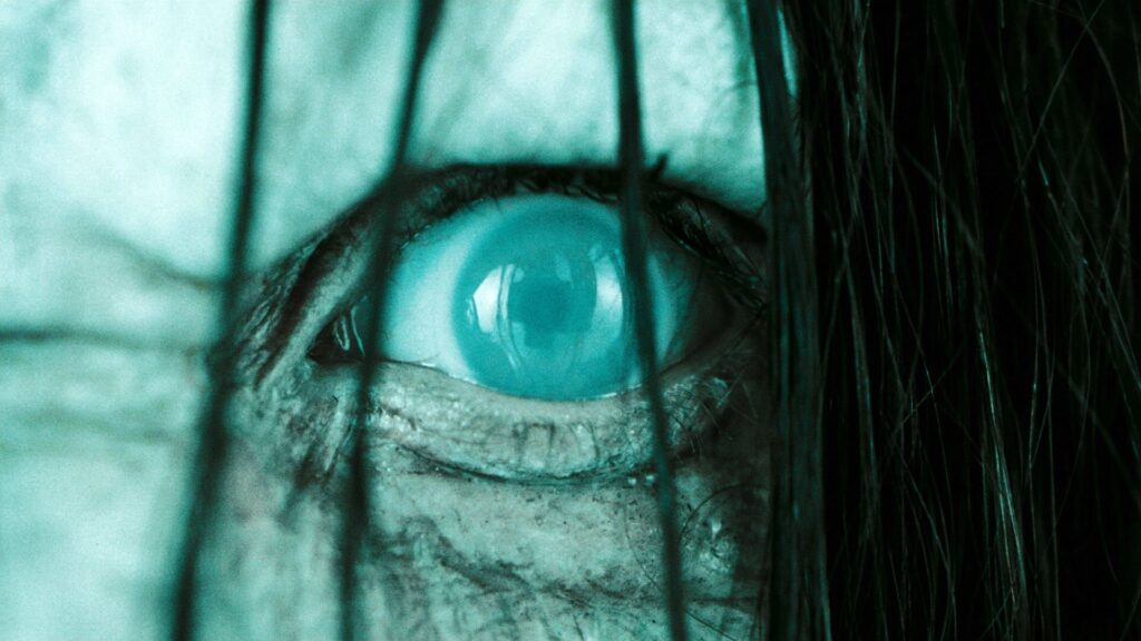 The Ring - Horror Movies Like The Conjuring