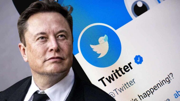 Elon Musk's Limited Tweet Reading: Implications, Outrage, and Benefits