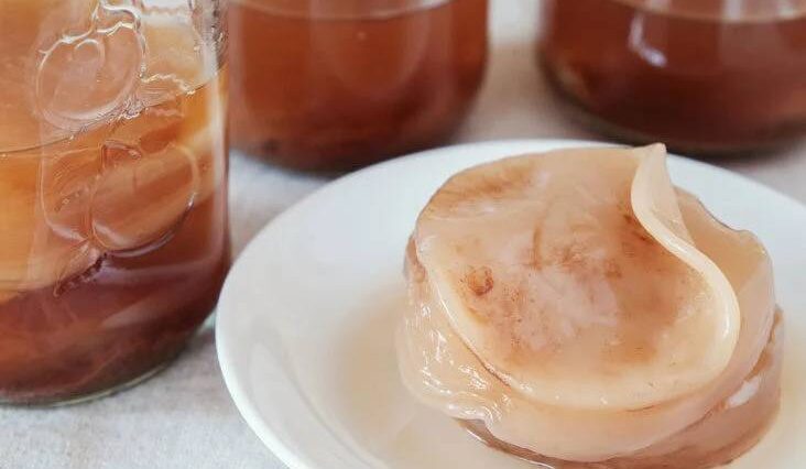 Kombucha