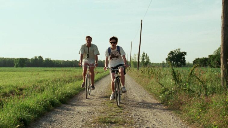Call Me By Your Name Moments