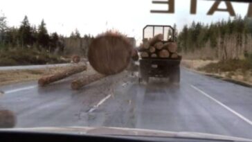 Most Shocking Death Scenes in Movies Like Final Destination