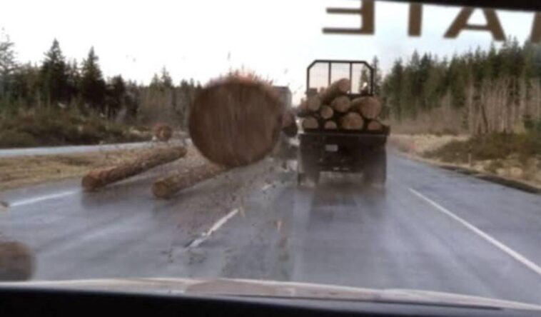 Most Shocking Death Scenes in Movies Like Final Destination