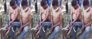 No Mercy In Mexico Trend