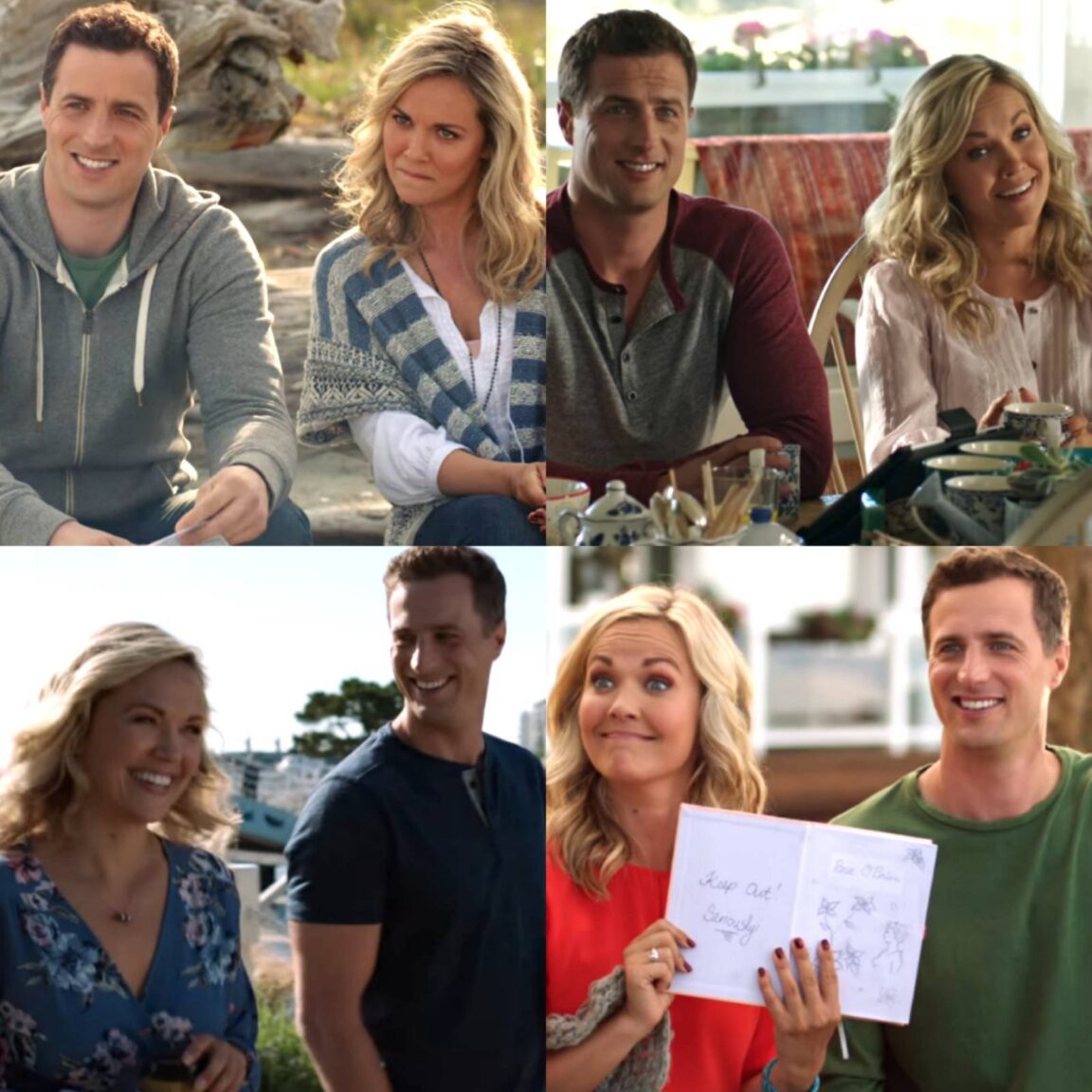 7 Shows To Watch If You Loved Chesapeake Shores Stagbite