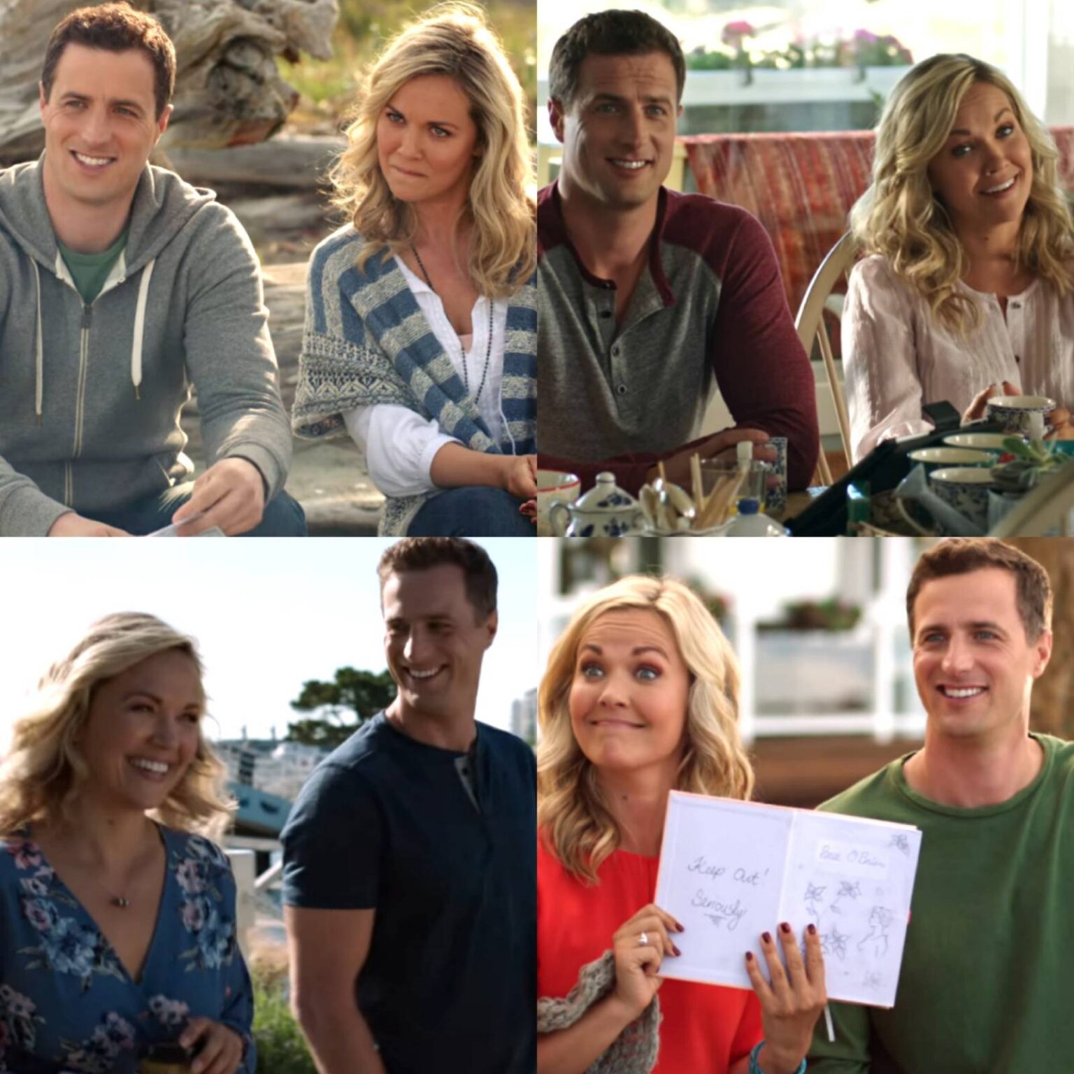 7 Shows To Watch If You Loved Chesapeake Shores – Stagbite