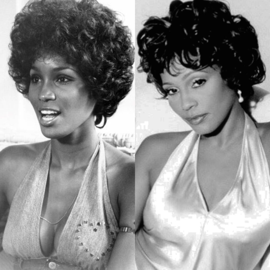 Is Teresa Graves Truly Related To Whitney Houston? Stagbite