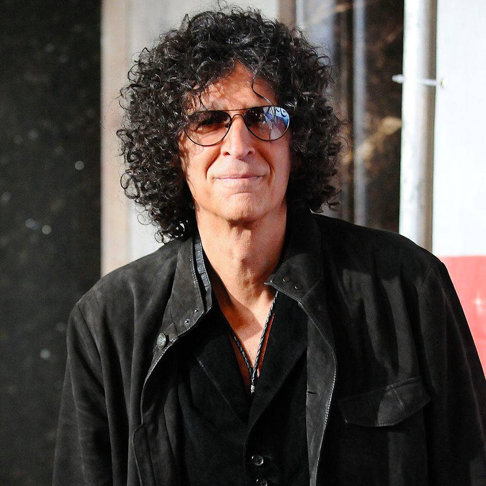Howard Stern's Journey to a $650 Million Net Worth: The Full Story 6 Howard Stern