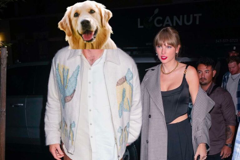 Who Is Taylor Swift's Golden Retriever Boyfriend? Stagbite