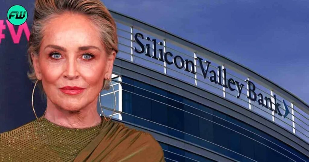 Analysis of Sharon Stone Net Worth