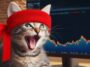 How Much Is Roaring Kitty Net Worth in 2024 The Genius Behind GameStops Rise