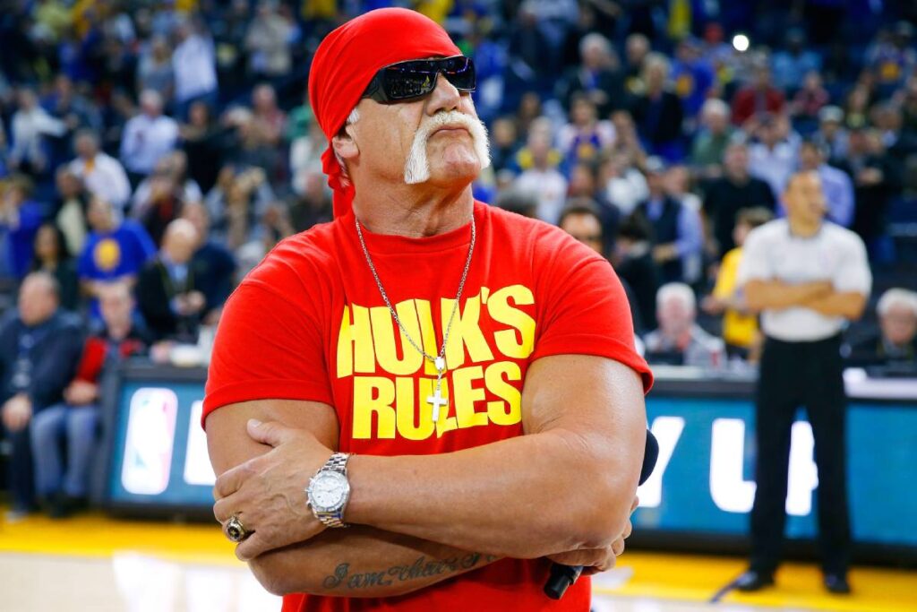 Hulk Hogan net worth in 2024